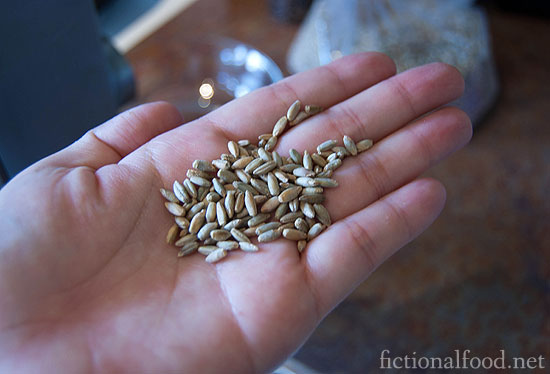 Rye Berries